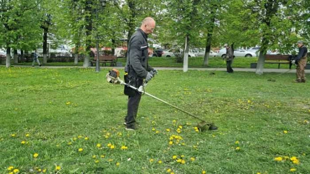 В Иванове начали косить траву